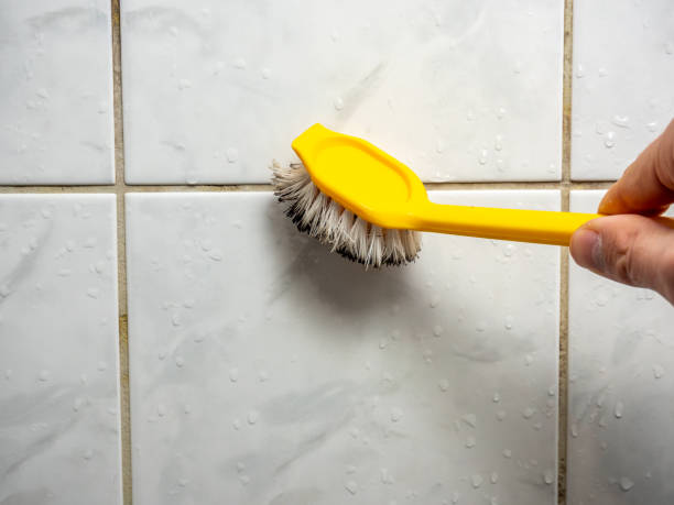 Best White Mold Remediation in Wheeling, IL