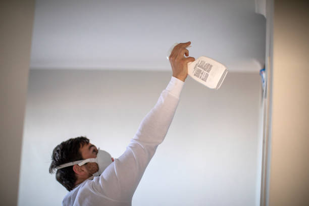 Best Kitchen Mold Remediation in Wheeling, IL